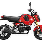 Honda MSX125 Grom Pearl Gayety Red